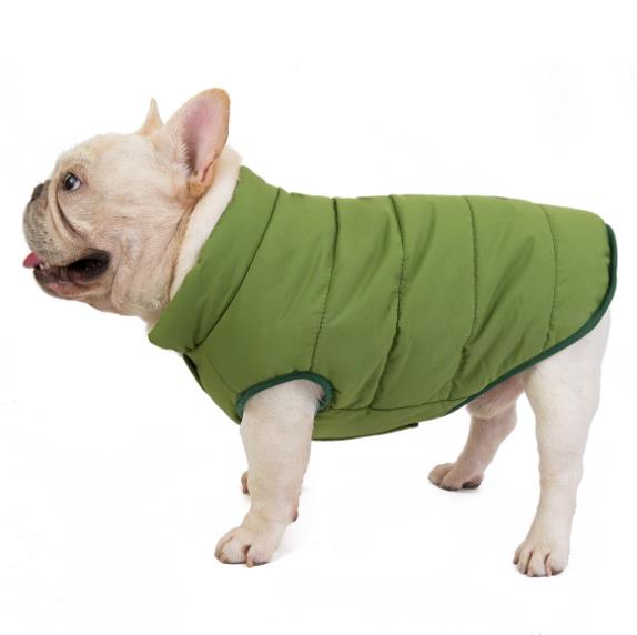 Giacca Bulldog in  Cotone