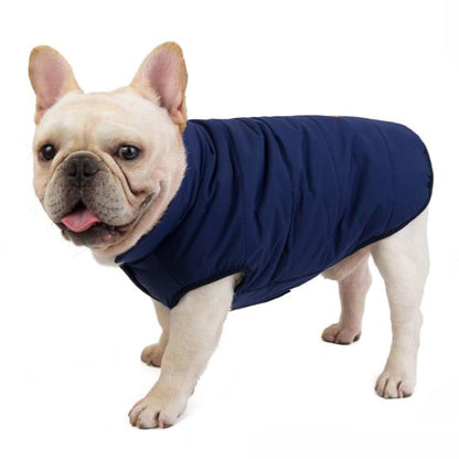 Giacca Bulldog in  Cotone