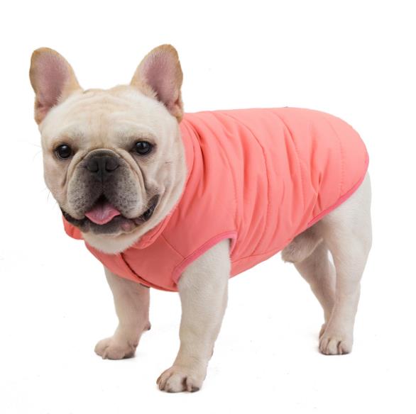 Giacca Bulldog in  Cotone