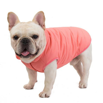 Giacca Bulldog in  Cotone