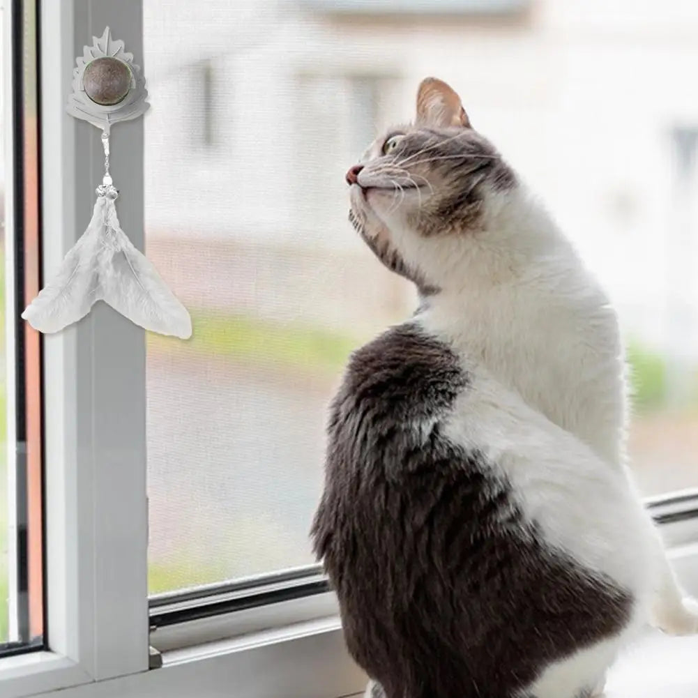 Giocattoli interattivi per gatti da interni, gattini, bacchetta magica, giocattolo a piuma, perdita di peso, gattini, divertenti palline di erba gatta per animali domestici