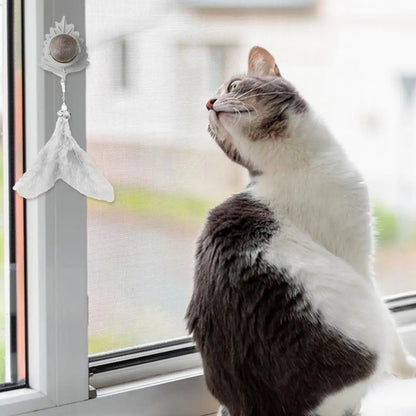 Giocattoli interattivi per gatti da interni, gattini, bacchetta magica, giocattolo a piuma, perdita di peso, gattini, divertenti palline di erba gatta per animali domestici