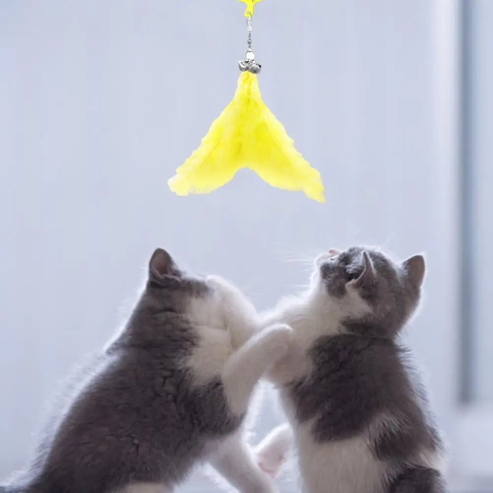 Giocattoli interattivi per gatti da interni, gattini, bacchetta magica, giocattolo a piuma, perdita di peso, gattini, divertenti palline di erba gatta per animali domestici